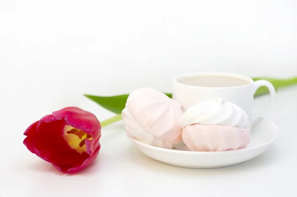 Marshmallows Tea Coffee Milk Tulip Flower Light Background Romantic Spring — Stock Photo, Image
