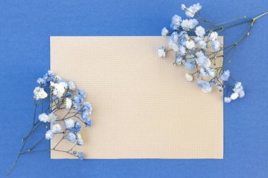 Bir buket beyaz-mavi çingene çiçeği. Metnin için yer aç, kopyala, maket yap. Harfler ve kartpostallar için güzel narin bir arkaplan.