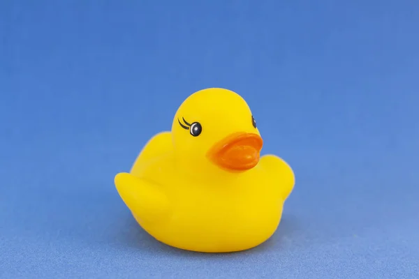 蓝色背景的橡胶鸭 创意最小 正在洗澡的婴儿 — 图库照片