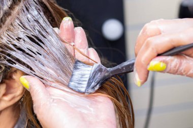 Gri saçlı. Saç köklerini yeniden uzatmak için saç boyası uygulaması. Güzellik salonu
