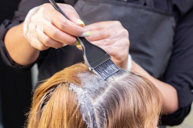 Gri saçlı. Saç köklerini yeniden uzatmak için saç boyası uygulaması. Güzellik salonu