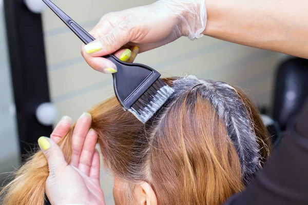 Grijs Haar Toepassing Van Haarverf Hergroeide Grijze Haarwortels Schoonheidssalon — Stockfoto