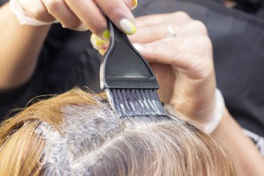 Gri saçlı. Saç köklerini yeniden uzatmak için saç boyası uygulaması. Güzellik salonu