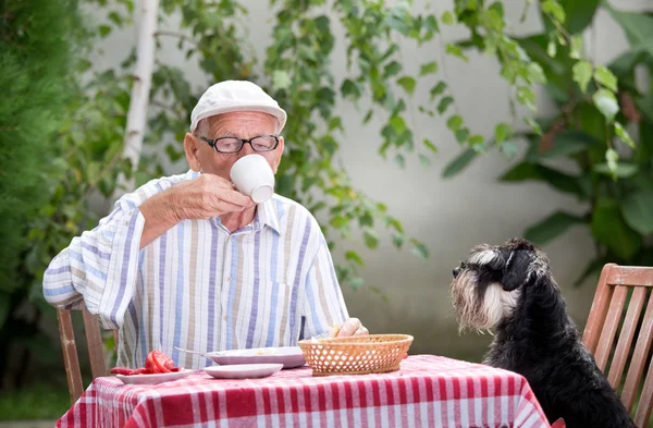 Старший мужчина пьет кофе в саду — стоковое фото