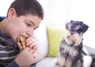 Çocuk yemek ve ona izlemek köpek