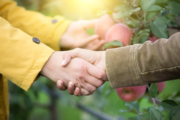 Två män skakar hand i orchard — Stockfoto