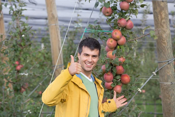 Ingeniero en huerto — Foto de Stock