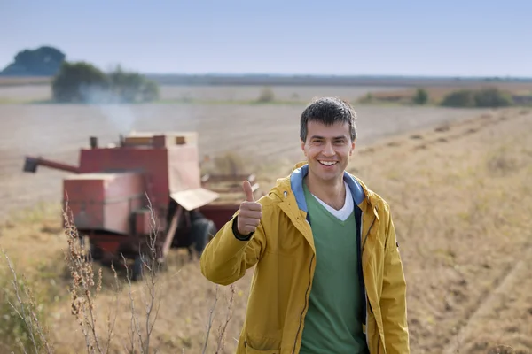 Farmer showing thumb up at soybean harvest — ストック写真