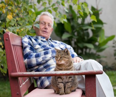 Yaşça daha büyük kedi avluda adamla