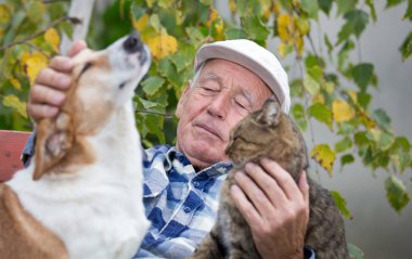 Komuta sizde Hayvanlar grubu