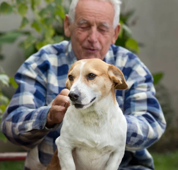 Senior man with dog in courtyard — Stock Photo, Image