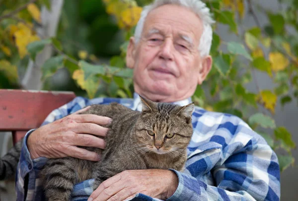 Homem sênior com gato no pátio — Fotografia de Stock