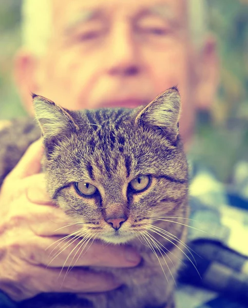 Yaşlı adamın kucak kedi — Stok fotoğraf