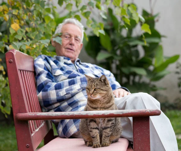 Homem sênior com gato no pátio — Fotografia de Stock