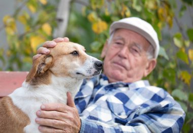 Komuta sizde avluda köpekle