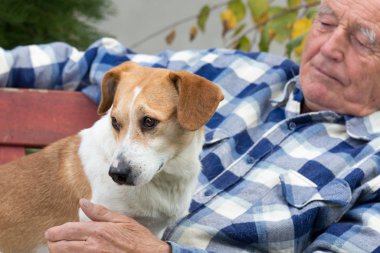 Komuta sizde avluda köpekle