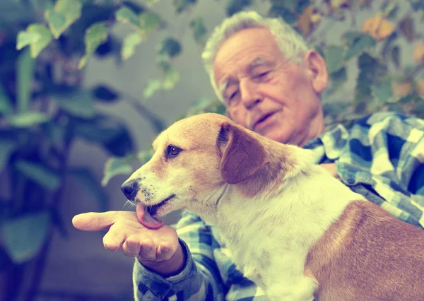 Senior man with dog in courtyard — Stock Photo, Image