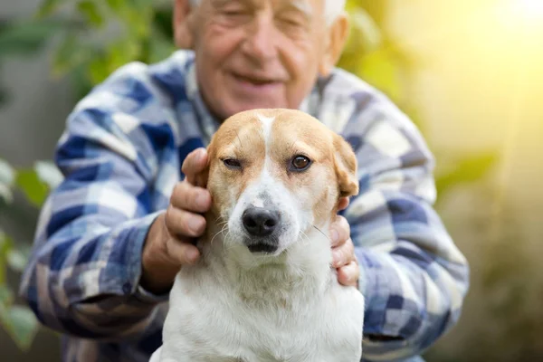 Senior man with dog in courtyard — Stock Photo, Image