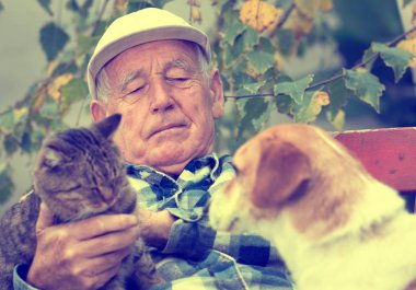 Komuta sizde Hayvanlar grubu