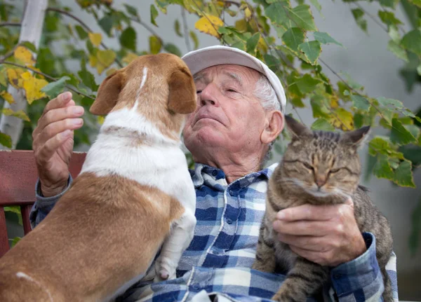 Hombre mayor con mascotas — Foto de Stock