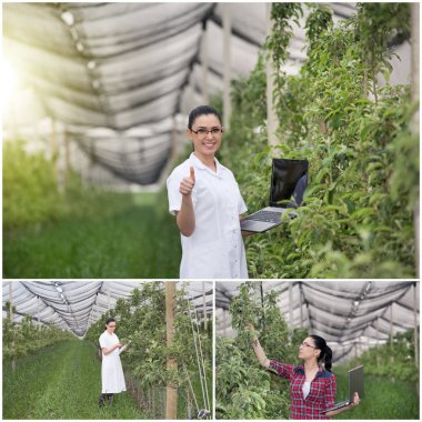 Meyve bahçesi içinde Ziraat Mühendisi