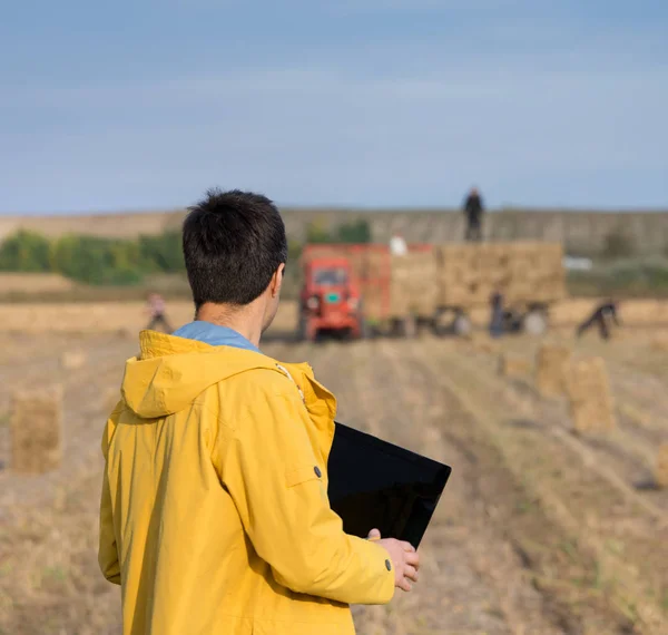 Фермер в поле во время прессования тюков — стоковое фото
