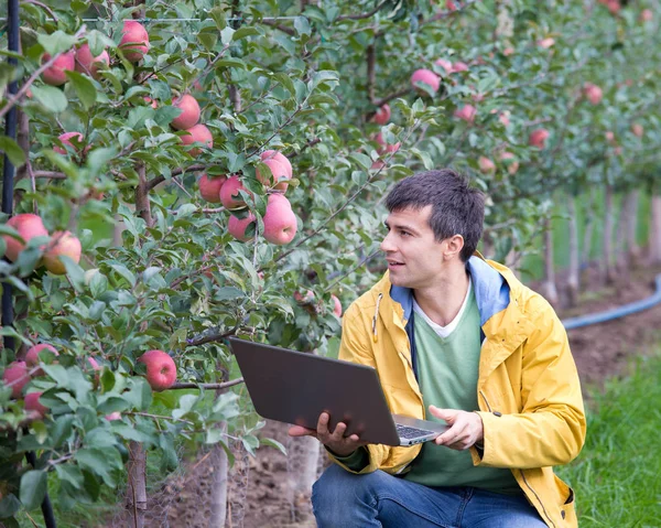 Engineer in orchard — Stock Photo, Image