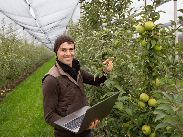 Ingegnere nel frutteto — Foto Stock