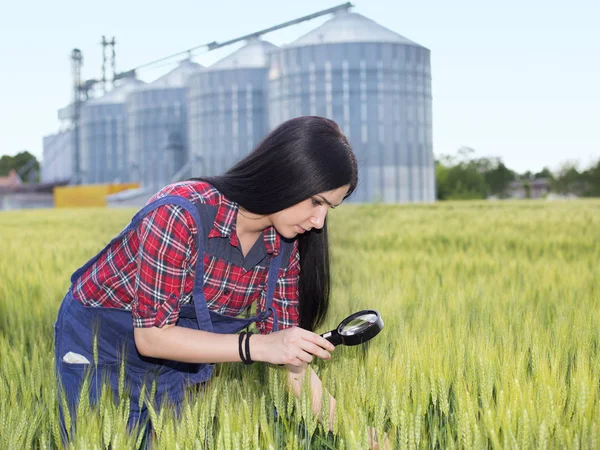 Ragazza contadina nel campo di orzo — Foto Stock