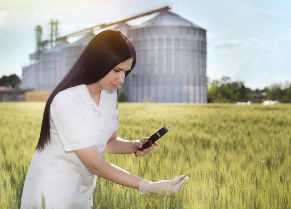 Agronomista em campo com silos atrás — Fotografia de Stock