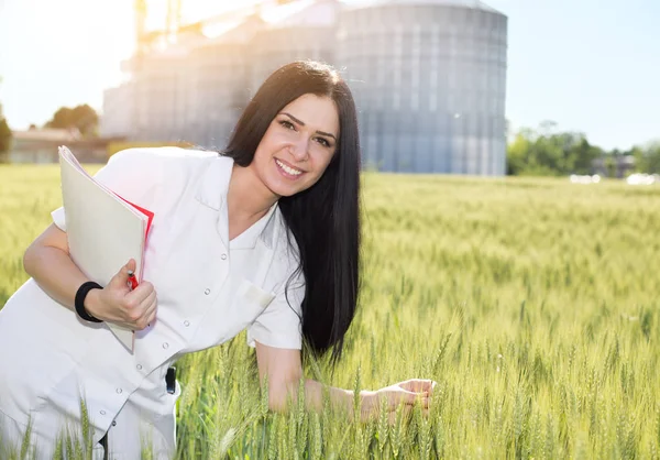 Agronomo in campo con silos alle spalle — Foto Stock