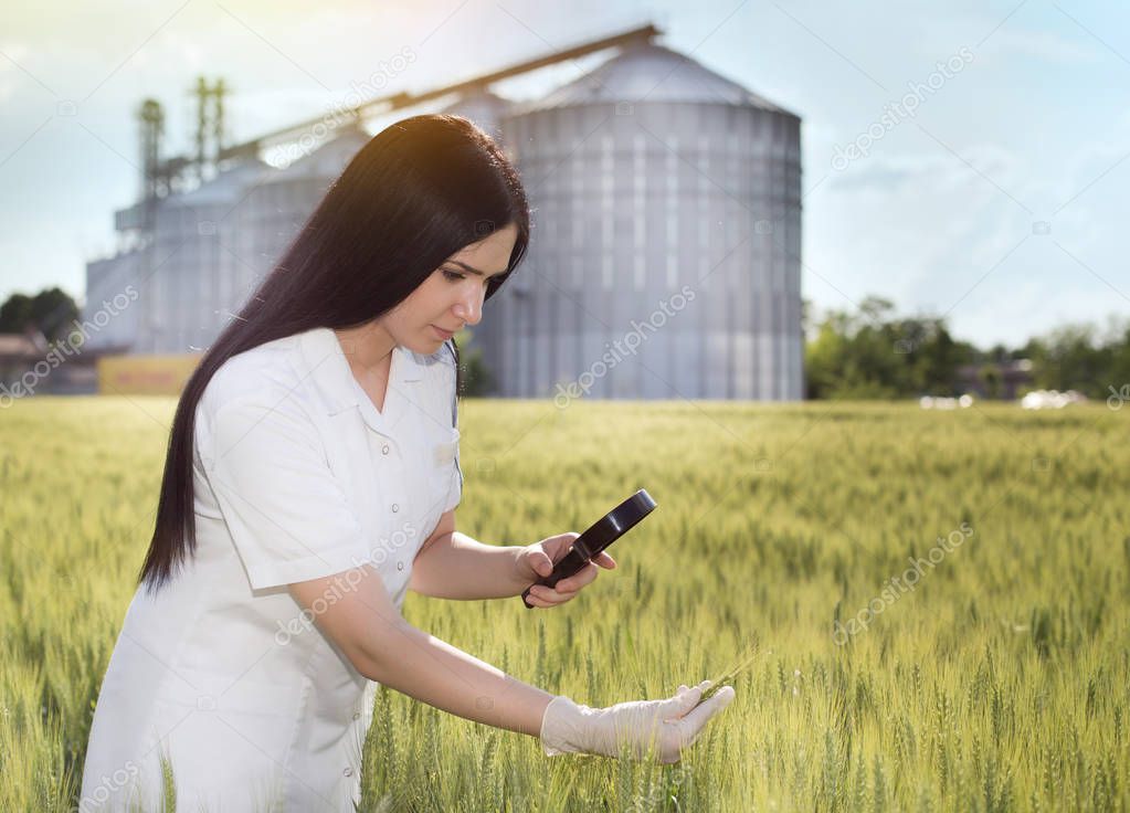 Agronomist in field with silos behind
