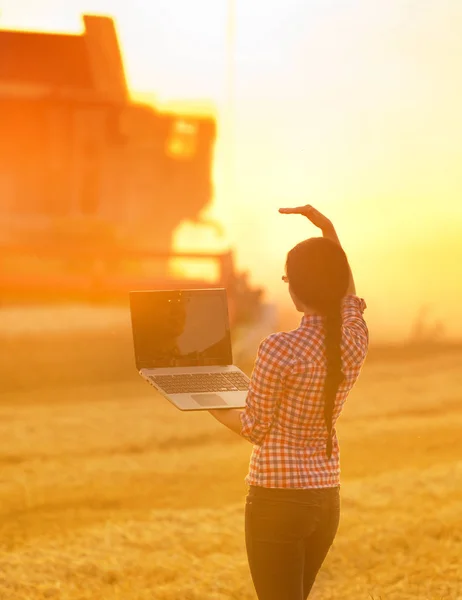 Femme avec ordinateur portable à la récolte de blé — Photo