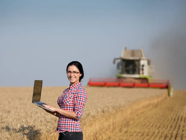 Vrouw met laptop bij de oogst van de tarwe — Stockfoto