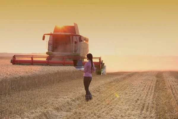 Woman with laptop at wheat harvest — Stock Photo, Image