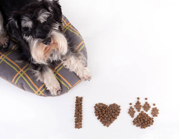 Cão com grânulos — Fotografia de Stock