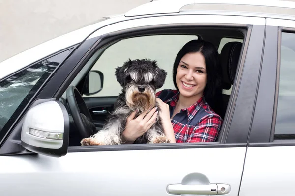 Donna con cane in macchina — Foto Stock