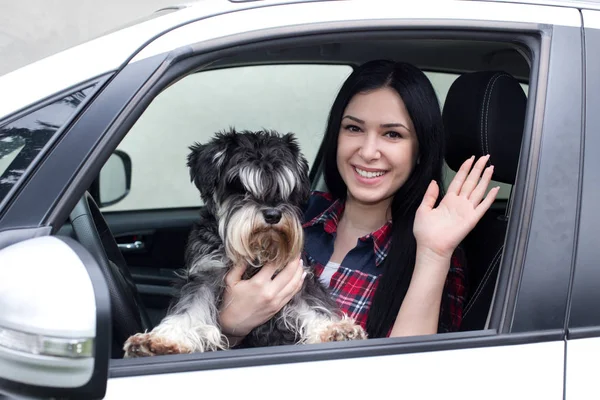 Frau mit Hund im Auto — Stockfoto