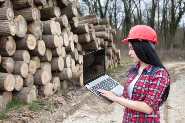 Lumber ingenieur met Logboeken — Stockfoto