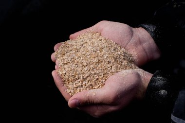 Köylünün elinde buğday kepeği