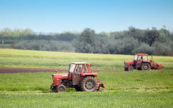 Тракторы, режущие люцерну — стоковое фото