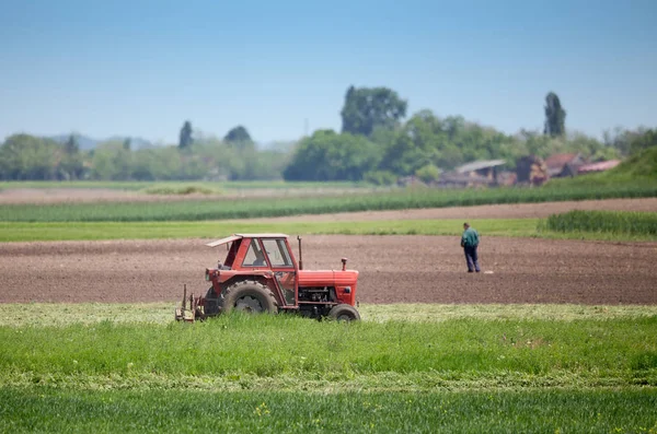 Tractor cutting lucerne — Stock Photo, Image