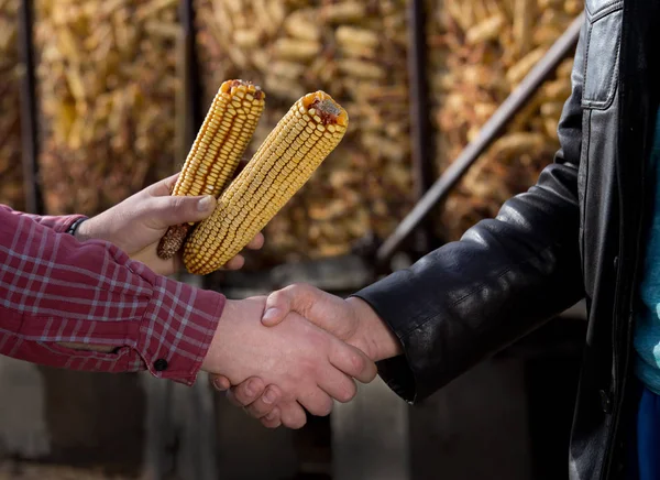 Farmers shaking hands — Stock Photo, Image