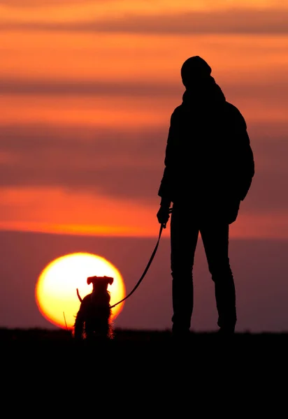 Silhuetten av mannen med hunden vid solnedgången — Stockfoto