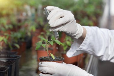 Tüp Bebek ve fide olan bilim adamı