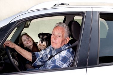 Granfather, torun ve köpek araba içinde