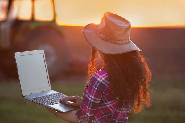 Vrouw met laptop in veld — Stockfoto