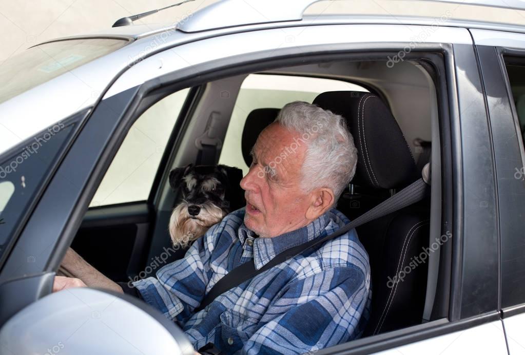 Old man with dog in car