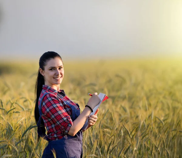 Arpa alanında çiftçi kız — Stok fotoğraf