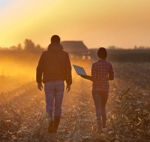 Farmers walking on field — Stock Photo, Image